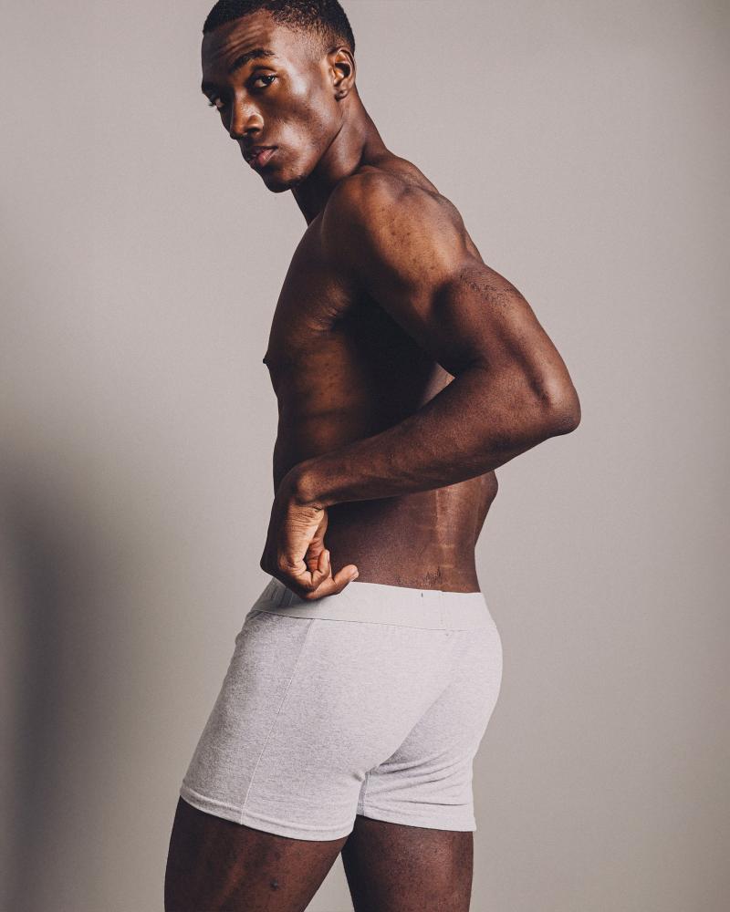BOXER ALBANY