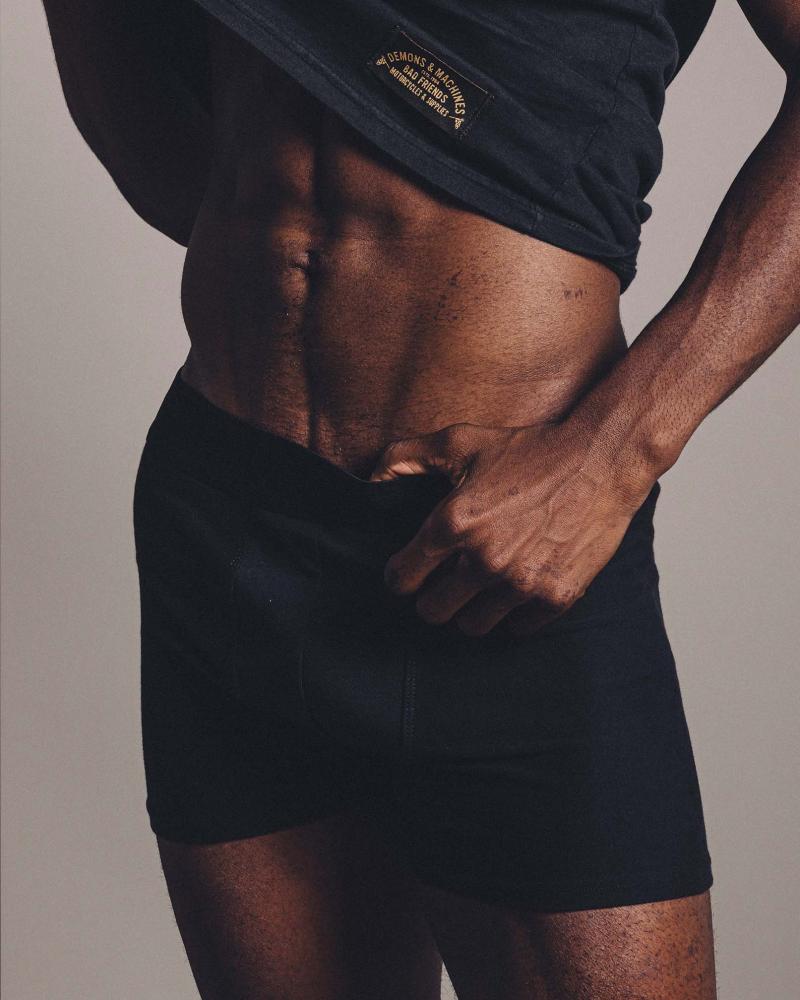 BOXER ALBANY