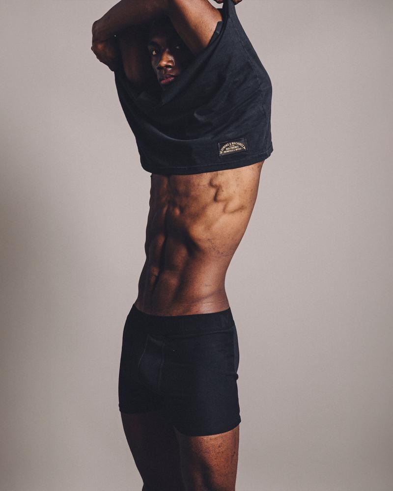 BOXER ALBANY
