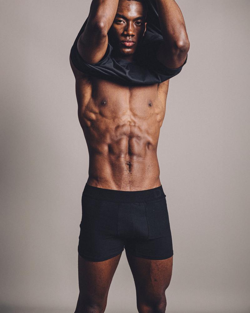 BOXER ALBANY