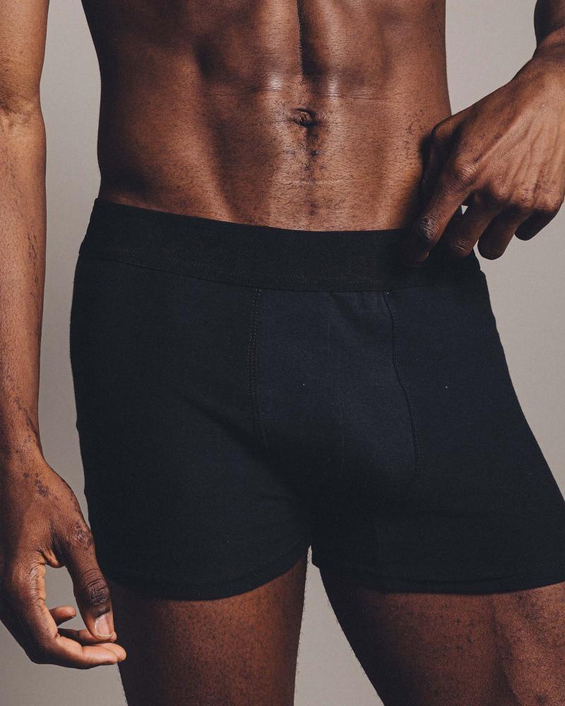 BOXER ALBANY